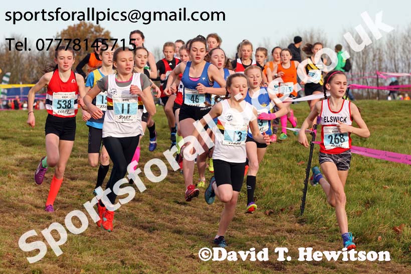 Girls under-13s 2017 Start Fitness North Eastern Harrier League, Aykley Heads, Durham. Photo:  David T. Hewitson/Sports for All Pics